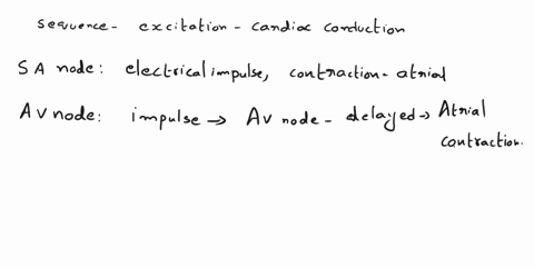 what-is-the-cardiac-conduction-system-and-does-the-nervous-system-have-a-role-in-its-activation-know-the-pathway-of-the-sequence-of-excitation-of-the-cardiac-conduction-system-74622