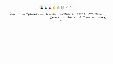 which-of-the-following-organelles-is-not-surrounded-by-a-membrane-a-chloroplast-b-nucleus-c-mitochondria-d-ribosome-46498