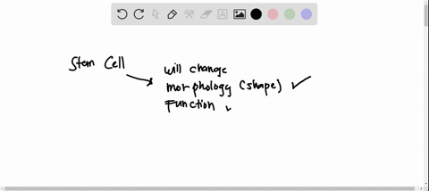 the-process-whereby-a-cells-morphology-and-function-change-is-called-a-determination-b-cell-fate-c-d-39723