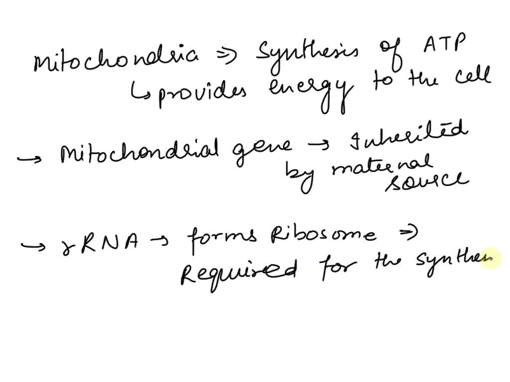 SOLVED: Which statement about thymidine kinase (TK) is not true: (A ...