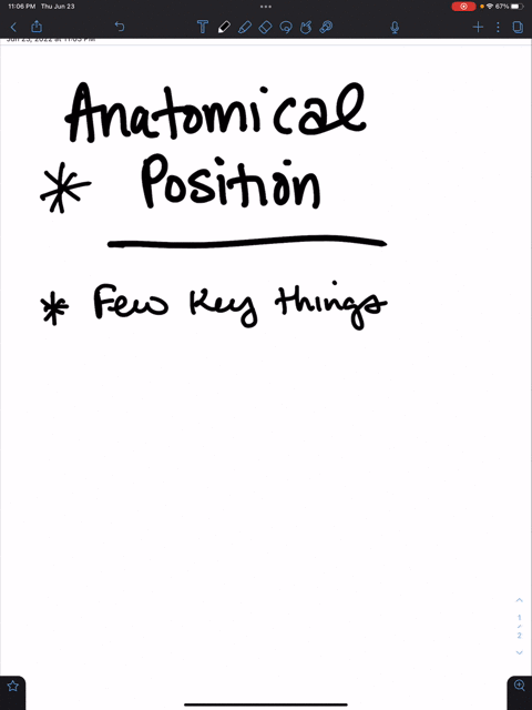 describe-what-is-meant-by-the-term-anatomical-position-98496