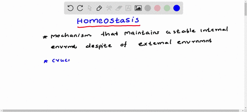 what-is-the-regulation-of-stable-internal-conditions-inside-an-organism-or-a-cell-a-responding-to-stimuli-b-obtaining-and-using-energy-c-homeostasis-d-cellular-respiration-68031