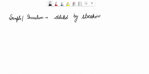 what-would-you-achieve-by-sampling-your-colony-and-streaking-on-a-new-plate-using-spread-plate-method-this-is-pointless-obtain-a-pure-culture-verifying-colony-isolation-ready-to-do-the-oxida-81437