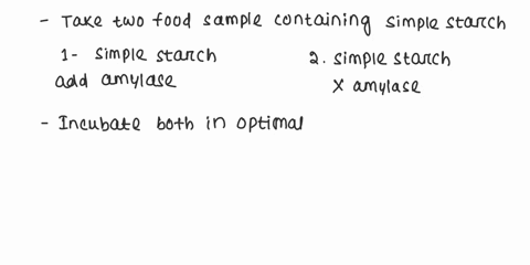 amylase-is-an-enzyme-that-breaks-down-starch-into-its-monosaccharides-you-can-buy-it-in-liquid-form-and-add-it-to-food-samples-suggest-a-simple-experimental-design-that-you-could-use-to-see-87963