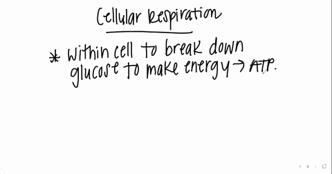 select-the-correct-statements-about-cellular-respiration-select-all-that-apply-1-chemical-energy-in-glucose-is-transformed-to-the-form-of-atp-2the-over-all-equation-for-cellular-respiration-67207