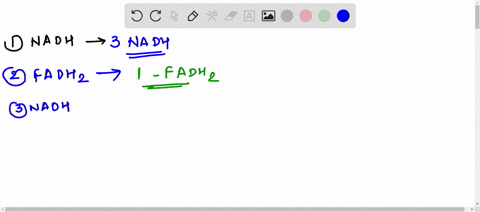 per-acetyl-coa-molecule-how-many-nadh-molecules-are-generated-in-the-tca-cycle-per-acetyl-coa-molecule-how-many-fadh2-molecules-are-generated-in-the-tca-cycle-under-ideal-conditions-a-single-54514