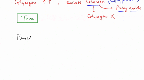 when-glycogen-storage-is-full-excess-carbohydrates-are-converted-to-fatty-acids_-true-false-fructose-is-an-important-source-of-energy-the-main-monosaccharide-in-blood-true-false-the-body-sto-18828