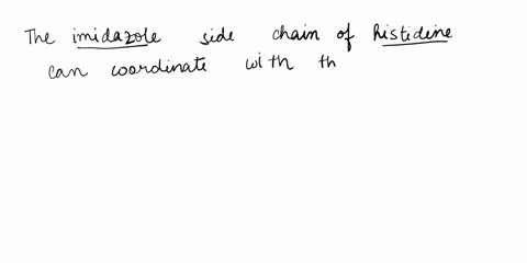 which-amino-acid-directty-stabilizes-the-heme-prosthetic-group-in-hemoglobin-valine-o-leucine-histidine-glycine-49894