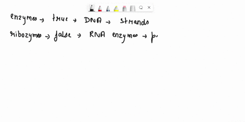 which-of-the-following-is-not-true-about-dna-reskriclion-enzymas-_-restriction-onzyme-cleavos-bolh-strands-ol-dna-digostion-are-ribozymes-rna-enzymes-produced-by-qateria-produce-overhanging-90865