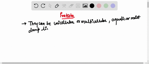 what-do-all-protists-have-in-common-24134