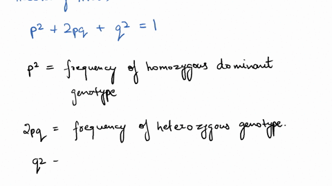 in-a-population-that-is-in-hardy-weinberg-equilibrium-the-frequency-of-the-homozygous-dominant-genotype-is-049-the-percentage-of-the-population-that-is-heterozygous-is___-a-49-b-42-c-51-d-3-04215