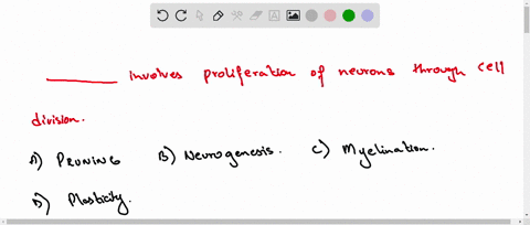 __________-involves-proliferation-of-neurons-through-cell-division-pruning-neurogenesis-myelination-plasticity-13416