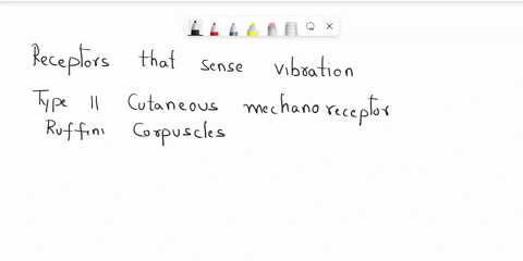 i-need-help-with-this-question-please-select-all-that-apply-indicate-the-receptors-that-sense-vibration-type-il-cutaneous-mechanoreceptorruffini-corpuscle-type-i-cutaneous-mechanoreceptor-ta-40485