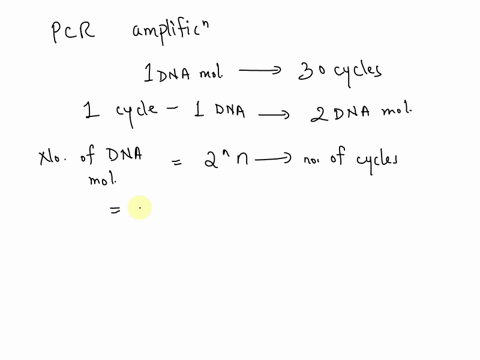 to-answer-this-question-you-may-reference-the-animated-technique-video-polymerase-chain-reaction-pcr-suppose-a-polymerase-chain-reaction-pcr-amplification-process-begins-with-exactly-one-dou-07925