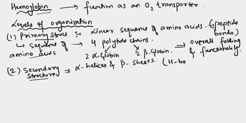 3-a-the-haemoglobin-molecule-is-designed-t0-transport-oxygen-around-the-body-with-reference-to-the-different-levels-of-organization-of-polypeptides-explain-how-this-molecule-achieves-its-fun-32804