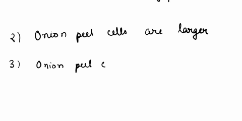 what-is-the-difference-between-cells-in-onion-peel-and-cells-in-spinach-01508