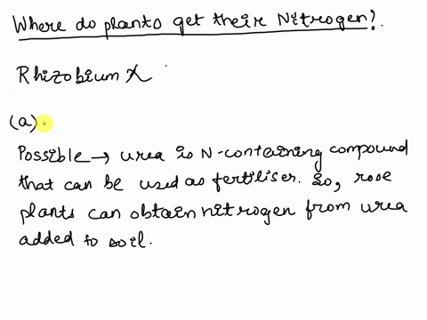 5rhizobium-nitrogen-fixing-bacterium-is-present-in-symbiotic-association-with-the-roots-ofleguminous-plants-like-pea-this-bacterium-converts-atmospheric-nitrogen-into-usable-form-ofnitrogen-08399