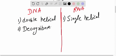 compare-and-contrast-dna-to-rna-52008