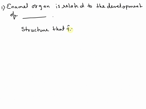 enamel-organ-is-related-to-the-development-of-12012