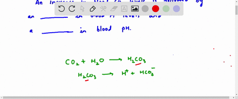 an-increase-in-blood-co2-levels-is-followed-by-an-______-in-blood-h-levels-and-an-_____-in-blood-ph-a-decrease-decrease-c-decrease-increase-b-increase-increase-d-increase-decrease-96601