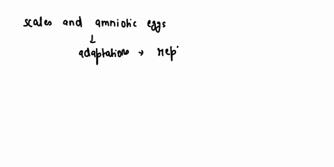 how-do-scales-and-amniotic-eggs-adapt-reptiles-to-land-75555