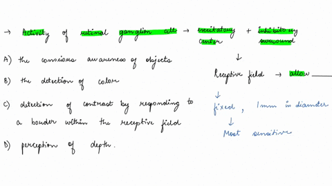 1activity-of-retinal-gangion-cells-that-have-an-excitatory-center-and-an-inhibitory-surround-to-their-receptive-field-allow-_______-a-the-conscious-awareness-of-objects-b-the-detection-of-co-10757