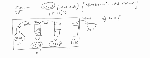 five-ml-of-bacterial-culture-is-added-to-45-ml-of-sterile-diluent-from-this-suspension-the-following-serial-dilutions-were-made-two-1100-and-one-110-dilutions-and-01-ml-is-plated-onto-plate-65427