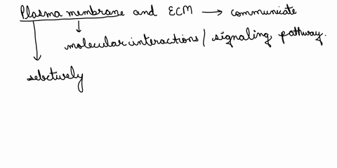1how-do-the-plasma-membrane-and-extracellular-matrix-how-do-they-communicate-and-briefly-describe-them-how-are-they-connected-2-f-the-cell-was-treated-with-a-inhibitor-of-enzymes-that-promot-17814