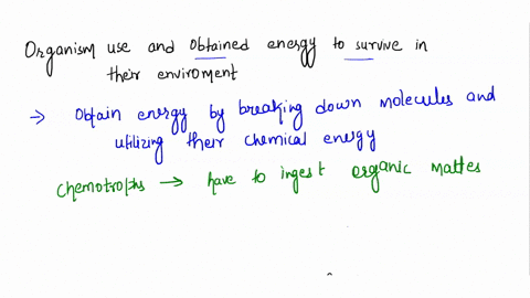 ahow-do-organisms-use-and-obtain-energy-to-survive-in-their-environment-bhow-does-the-dna-molecule-control-cell-growth-and-functions-24252