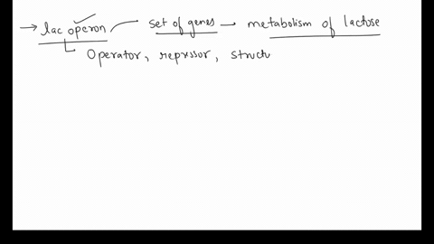 true-or-false-the-lac-operon-operates-by-having-the-repressor-only-leave-the-operator-when-it-is-bound-to-the-lactose-molecule-60783