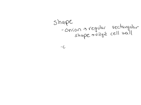 how-does-the-shape-of-the-onion-cells-differ-from-that-of-the-cheek-cellswhich-cells-seem-to-be-arranged-in-a-more-regular-patternwhat-structures-were-you-able-to-see-in-both-types-of-cells-42314