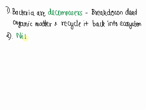 what-is-the-importance-of-bacteria-in-the-environment-93766
