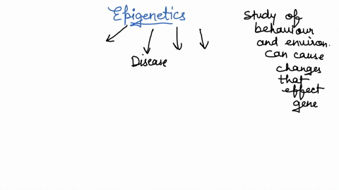 in-your-own-words-define-epigenetics-why-is-epigenetics-important-77356