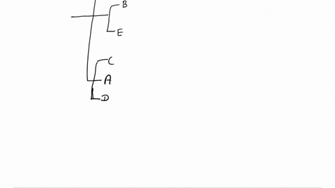 use-the-below-trait-table-to-construct-a-distance-matrix-and-tree-then-plot-the-traits-on-the-tree_-fis-the-outgroup-some-questions-will-require-the-knowledge-of-the-final-tree-to-answer-spe-67848