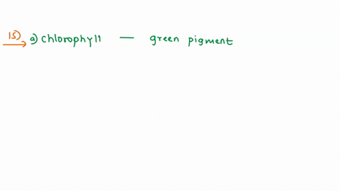 pignient-known-4s-abeutbs-tkx-light-rcquired-for-phctosynthcsis-chlorophyll-chloroplast-sporangua-catbvn-dioxide-16as-plants-cvolcd-somc-plants-eained-adoptations-allowing-them-grow-taller-t-28621