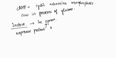 you-grow-e-coli-in-an-environment-with-lactose-but-not-glucose-and-the-camp-levels-are-very-high-you-observe-low-levels-of-lac-operon-expression-what-explains-this-observation-09702