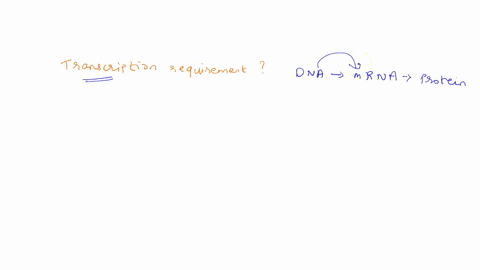 which-is-required-in-transcription-group-of-answer-choices-dna-polymerase-amino-acids-transfer-rna-trna-dna-93618