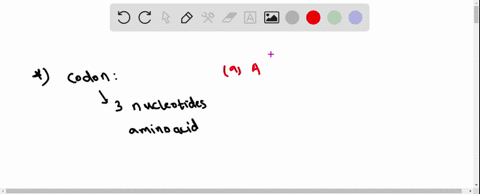 what-amino-acid-is-coded-for-by-each-codon-a-aaa-b-uuc-c-mathrmcgg-d-gca-21696