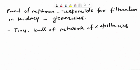 which-part-of-the-nephron-is-responsible-for-filtration-16935