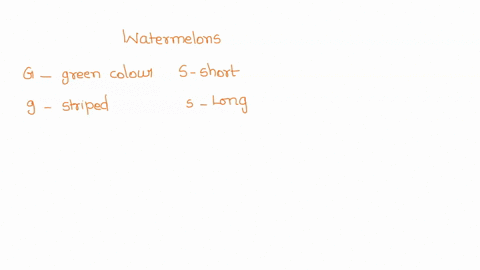 what-is-hemoglobin-a-lipid-b-protein-c-carbohydrate-d-nucleic-acid-63452