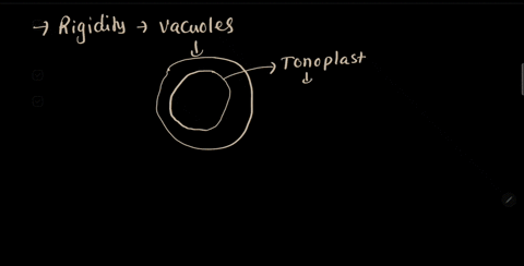 which-of-the-following-organelles-holds-a-lot-of-water-to-keep-its-rigidity-a-nucleus-b-cell-membrane-c-cytoplasm-d-vacuoles-h-e-l-p-24782