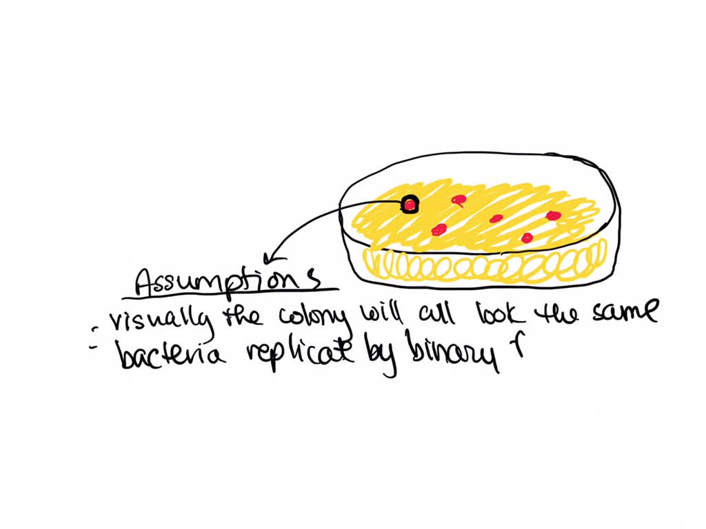 SOLVED what is the rationale for assuming that a colony represent pure