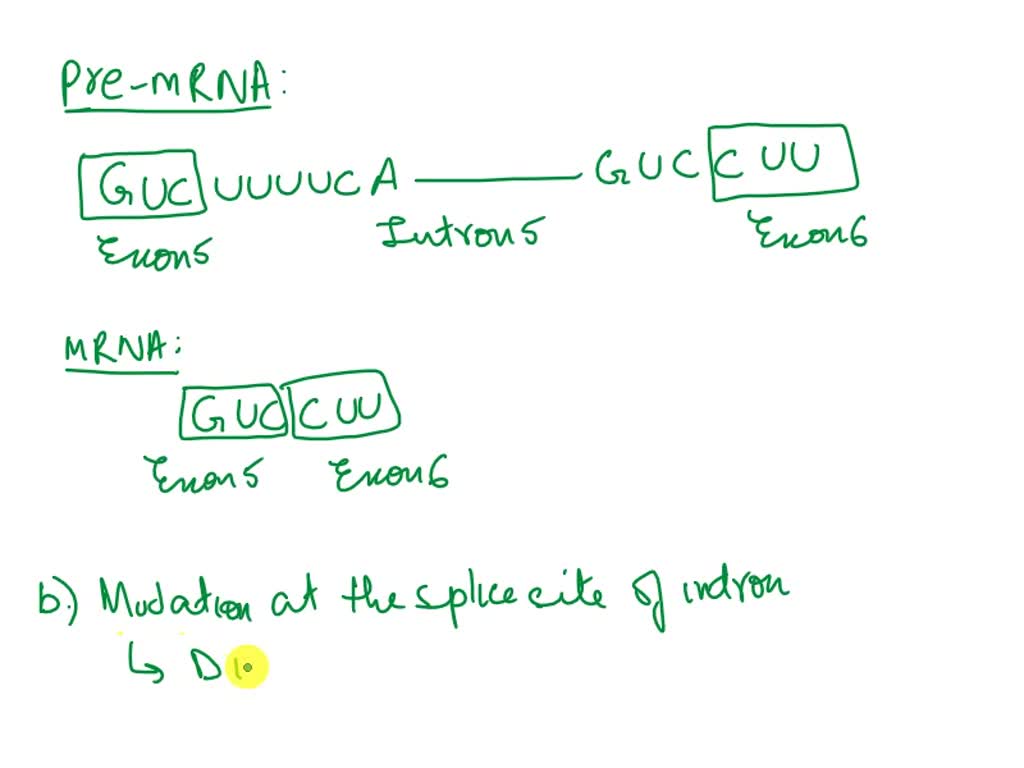 SOLVED 8. The class of enzymes known as alcohol dehydrogenases (ADHs