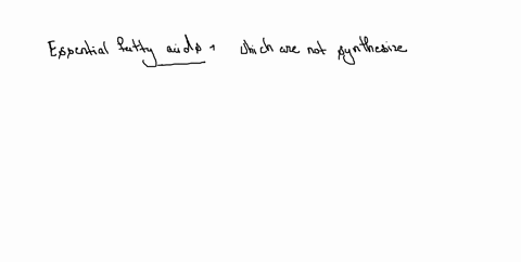 what-are-essential-fatty-acids-08682