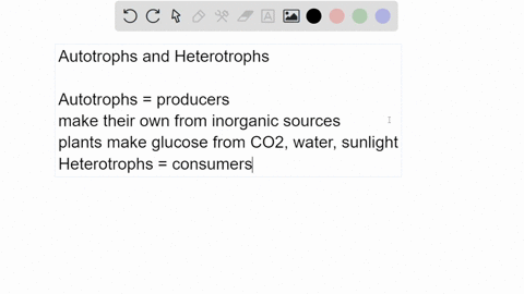 question-28-1-point-saved-which-of-the-following-statements-best-describes-the-relationship-autotrophs-and-heterotrophs-between-aotetrophs-produce-their-organic-molecules-from-coz-and-other-77356
