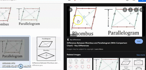 every-rhombus-is-a-parallelogram-true-or-false-56698