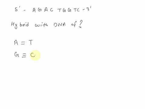 question-15-of-27-2-points-which-of-the-following-deoxyoligonucleotides-will-hybridize-anneal-with-dna-containing-the-sequence-5-agactggtc-3-a-5-gaccagtct-3-b-5-ctcattgag-3-c5-gagtcaact-3-d-38004