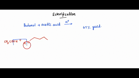 unknown-mixture-esterification-reaction-is-an-equilibrium-reaction-if-equal-quantities-of-1-butanol-and-acetic-acid-are-allowed-to-react-at-equilibrium-the-theoretical-yield-of-ester-is-only-71506