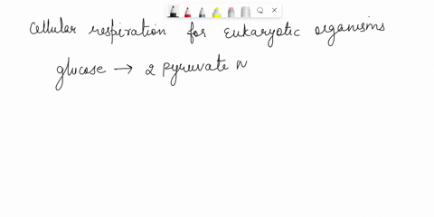 1-in-plant-cells-synthesis-of-atp-by-an-electron-transport-chain-and-chemiosmosis-occurs-during-a-photosynthesis-only-b-neither-photosynthesis-nor-cellular-respiration-c-cellular-respiration-97147