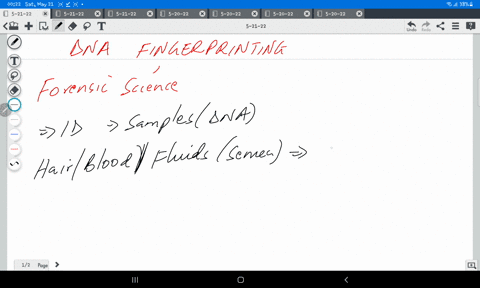 describe-what-is-meant-by-a-dna-fingerprint-and-how-it-is-used-in-forensic-science-22662